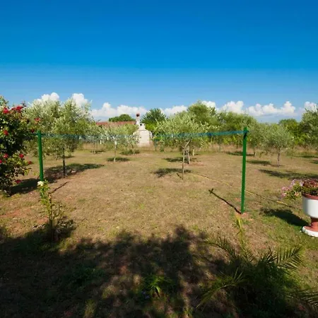 Pingo House Vikendica Novigrad (Istria)