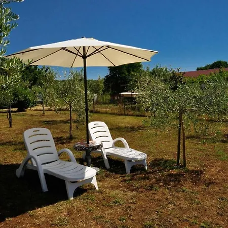 Pingo House Vikendica Novigrad (Istria)