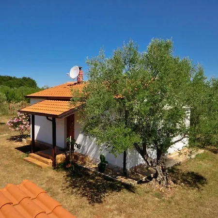 Pingo House Vikendica *