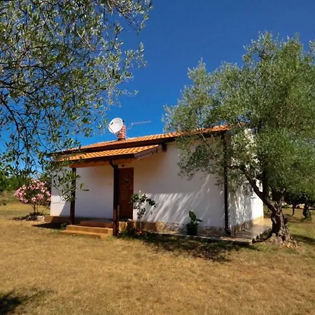 Pingo House Vikendica *